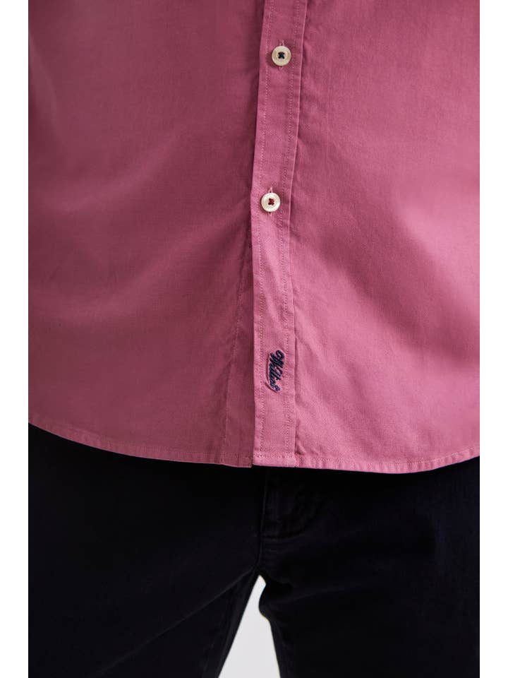 williot - Wholesale Button Down Shirt - Men's - Micropiqué Shirt12