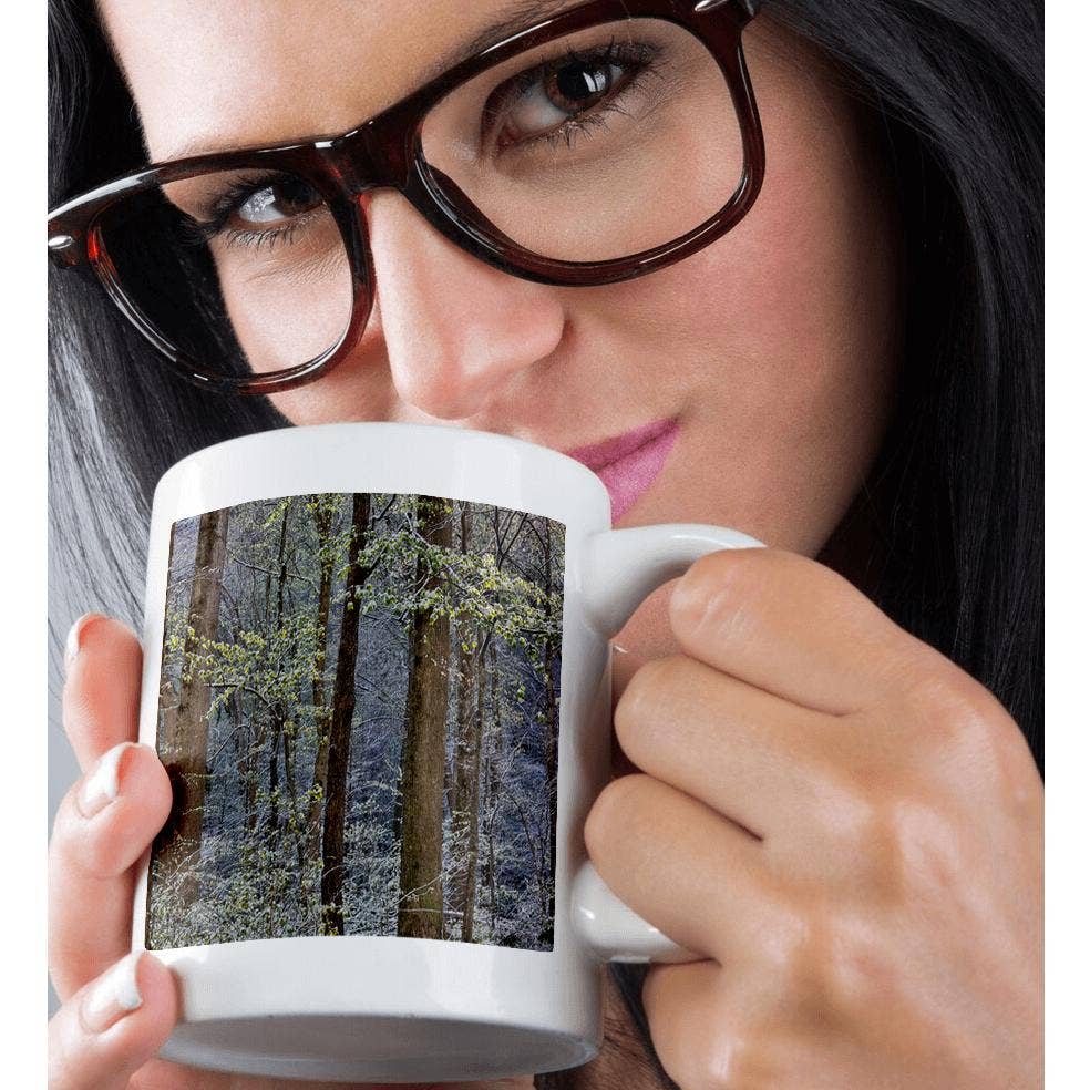 3dRose - Wholesale Coffee Mug - 3dRose, USA, Tennessee. Great Smoky Mountains National Park. Springtsnow 6, Mug9