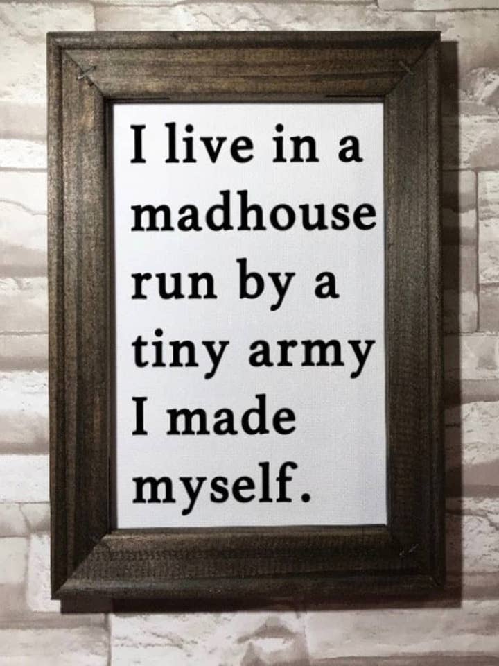 Je vis dans une maison de fous dirigée par une petite armée que j'ai créée moi-même pour la vente par Works of Panglossian