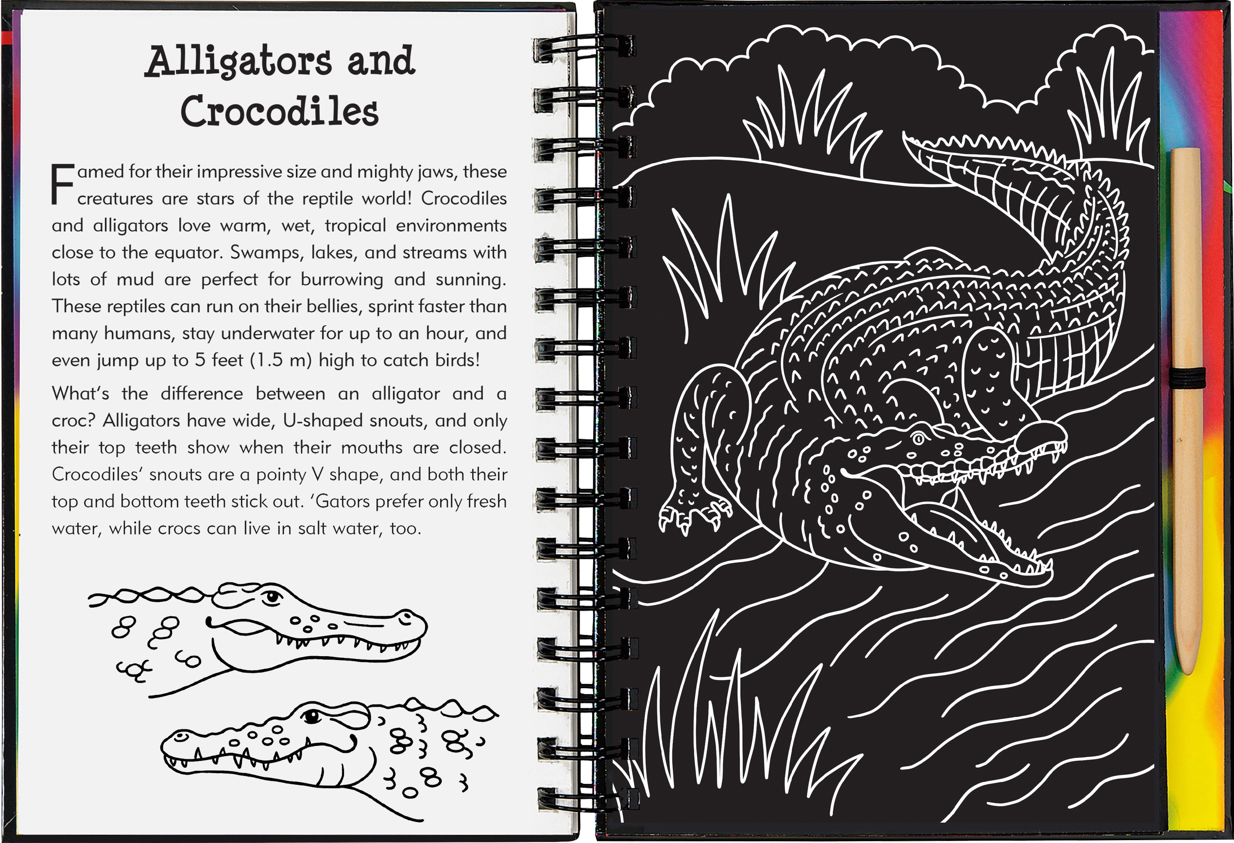Peter Pauper Press - Wholesale Sketchbook/Sketchpad - Reptiles & Amphibians Scratch and Sketch5