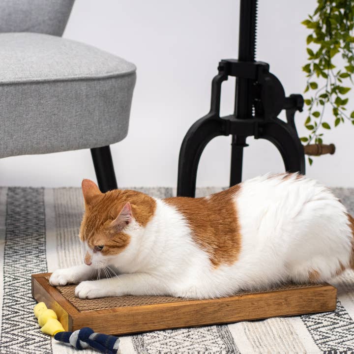 Cat Scratcher Guy - Venta al por mayor Rascador - Gatos - Rascador ancho de madera para gatos hecho a mano