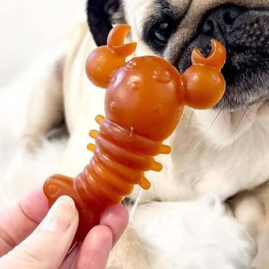 Carrot & Pumpkin Lobster Chew for Dogs for wholesale by The Pets Larder
