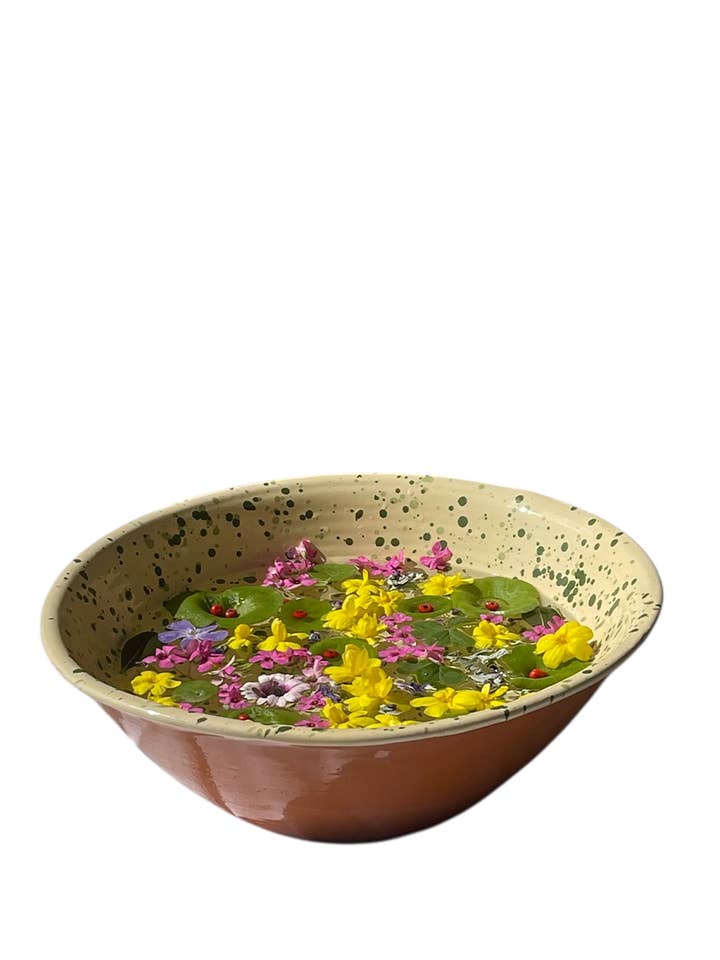 The Catinella for wholesale by IVO ANGEL