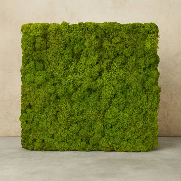 Moss Wall Panel (Spring Green) | 1 Square Foot  for wholesale by Moss & Stone Gardens