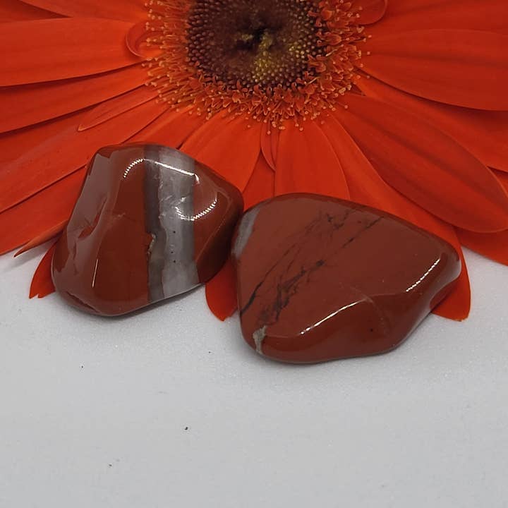 Jaspe rouge pour la vente par Crystal Cove
