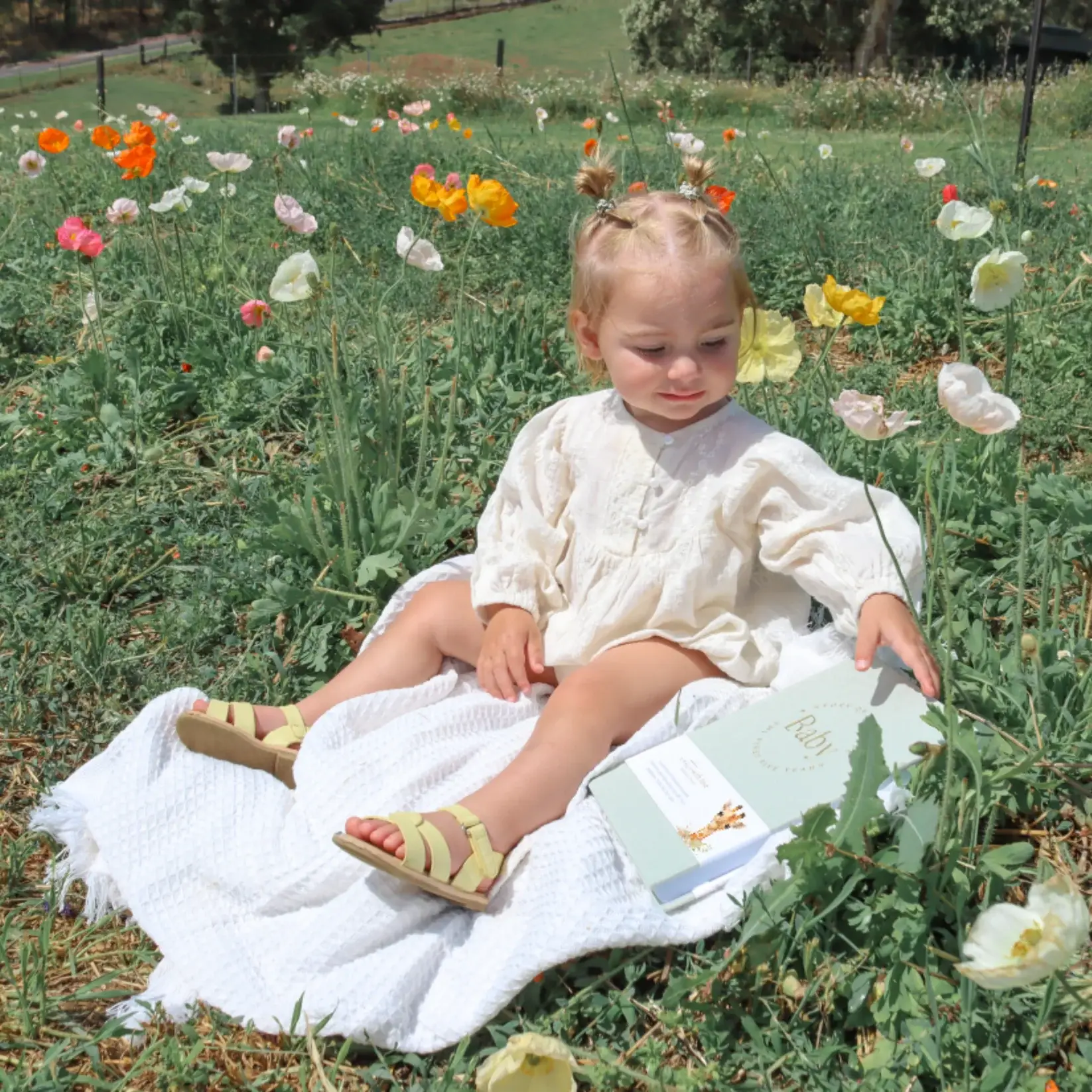 Baby Memory Book - Pregnancy to 5 Years - Sage Green - Boxed for wholesale on Faire3