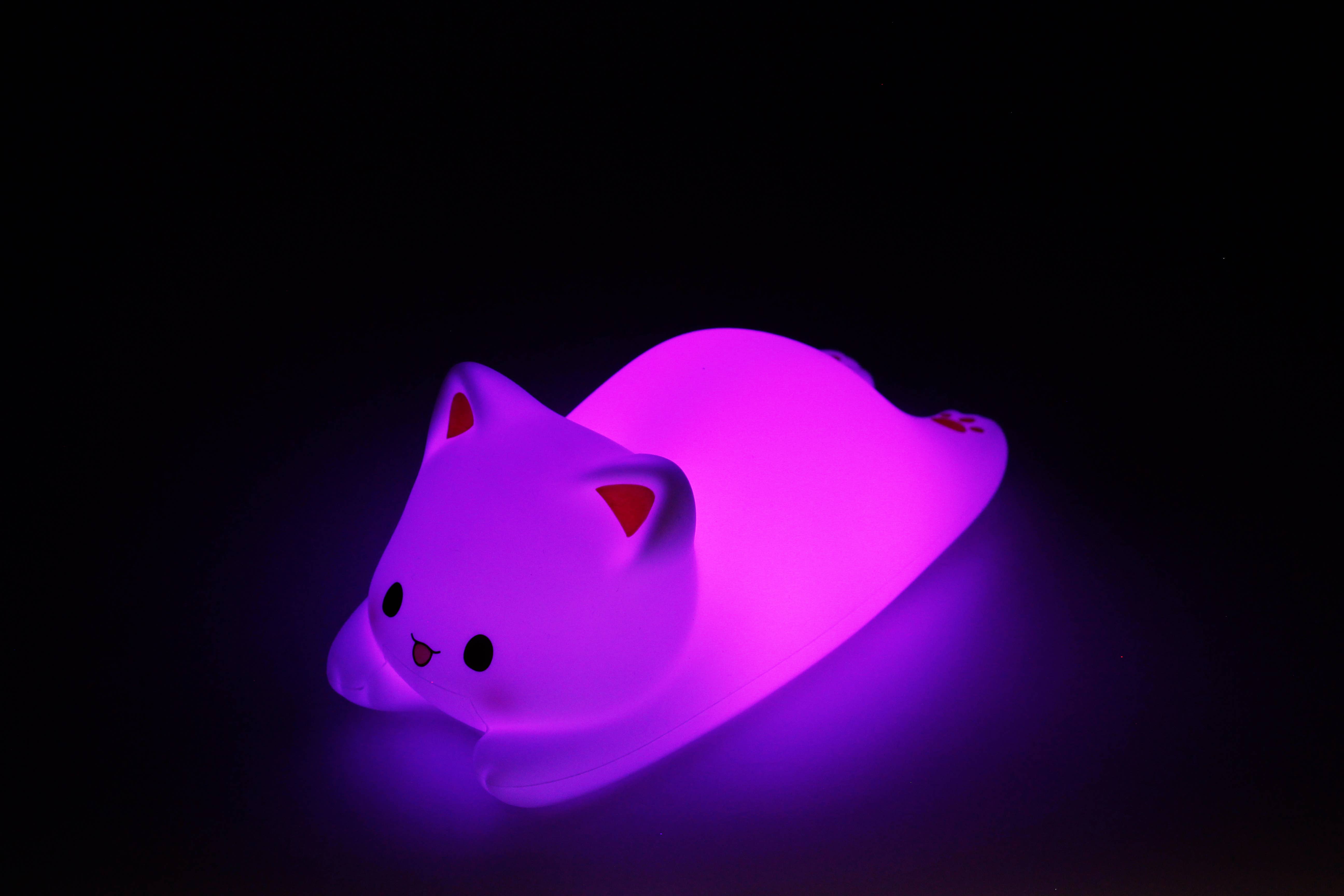 MAGS - Wholesale Nachtlampje - Nachtlampje slapende kat1