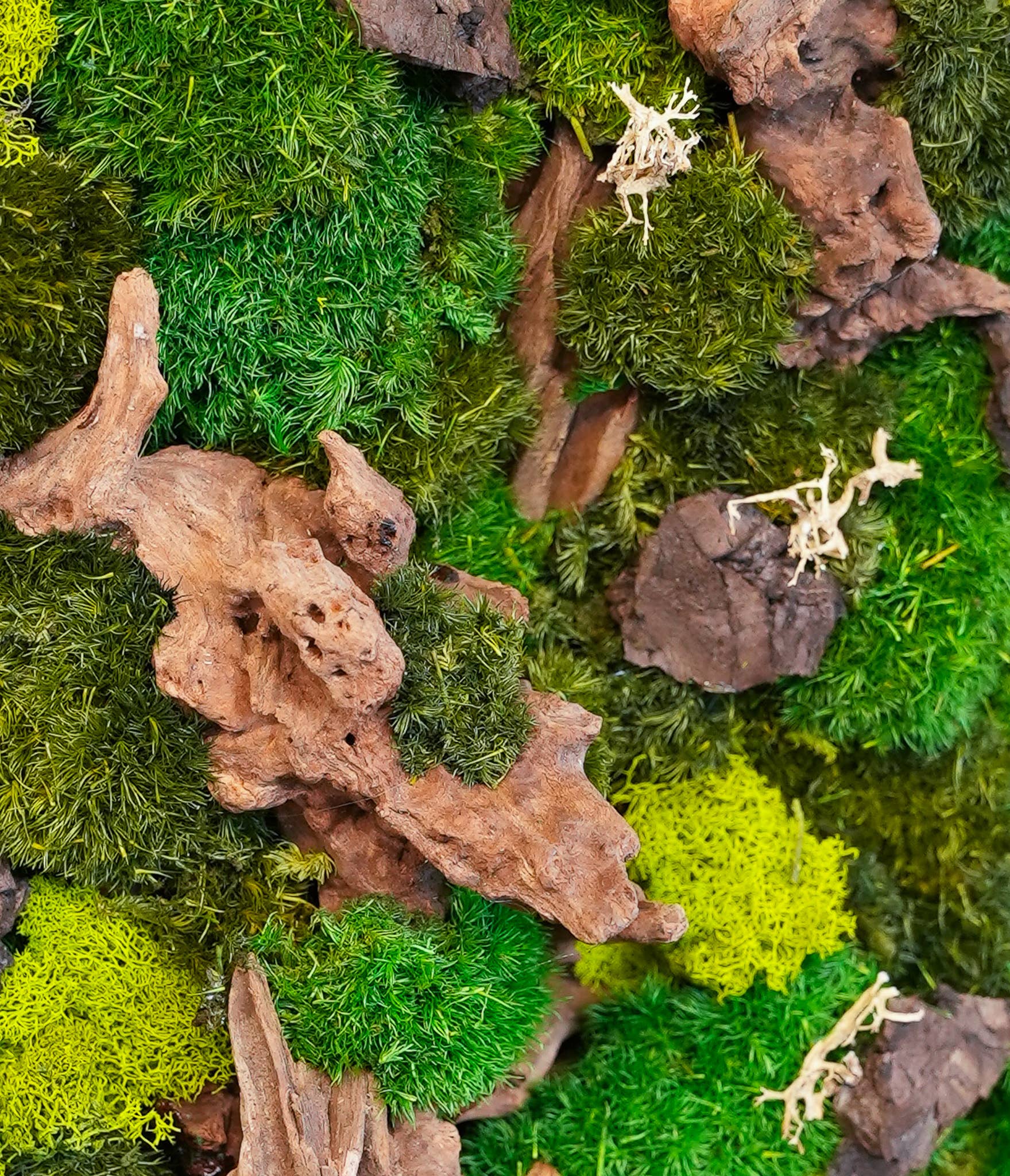 TERRART NYC - Wholesale Wall Planter - Moss Heaven - Moss Wall6