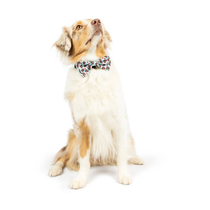 Huxley & Kent - Wholesale Pet Bow Tie - Cat/Dog - Tossed Beaver Bow Tie1