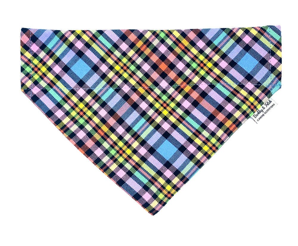 Barkley and Fetch – wholesale Pet bandana – Dog – Pastel Rainbow Check Dog Bandana2