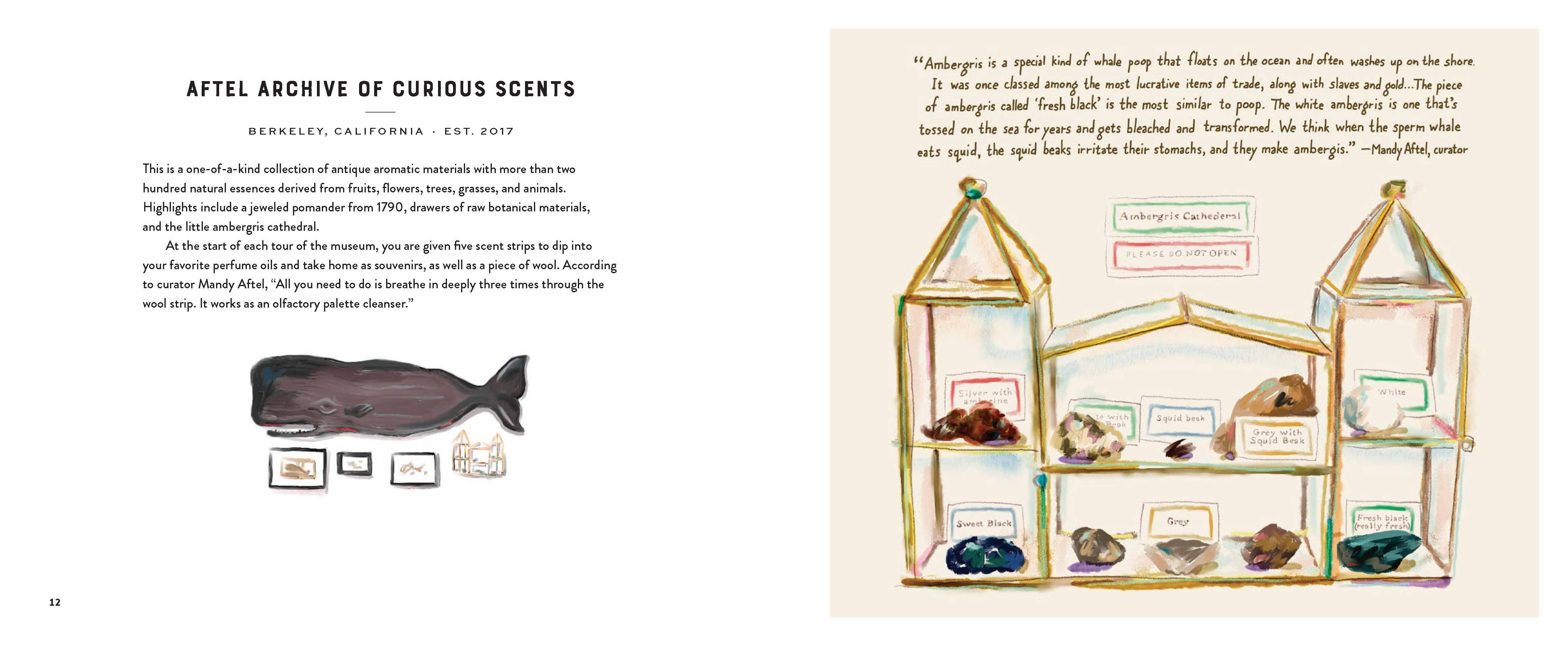 Chronicle Books - Wholesale Arts & Entertainment - Footnotes from the Most Fascinating Museums8