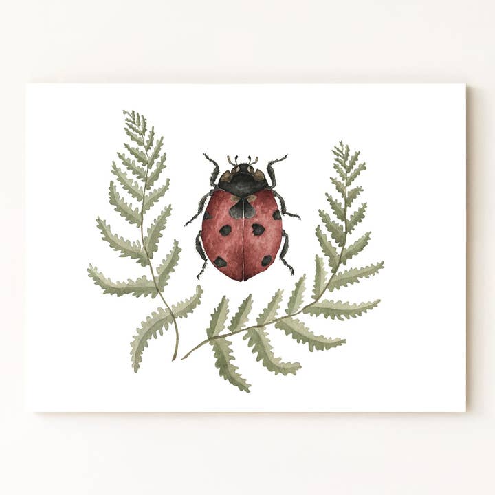 Ladybug & Ferns Print for wholesale by Jess Vartanian Illustration & Design