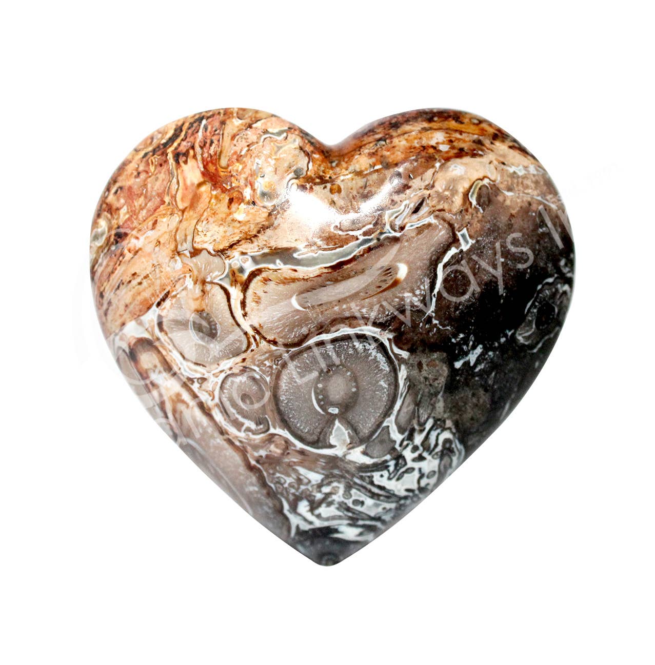 Oceanic Linkways Inc – wholesale Andlig sten/kristall – (PC)HJÄRTA - FOSSIL, PALMROT 2"0