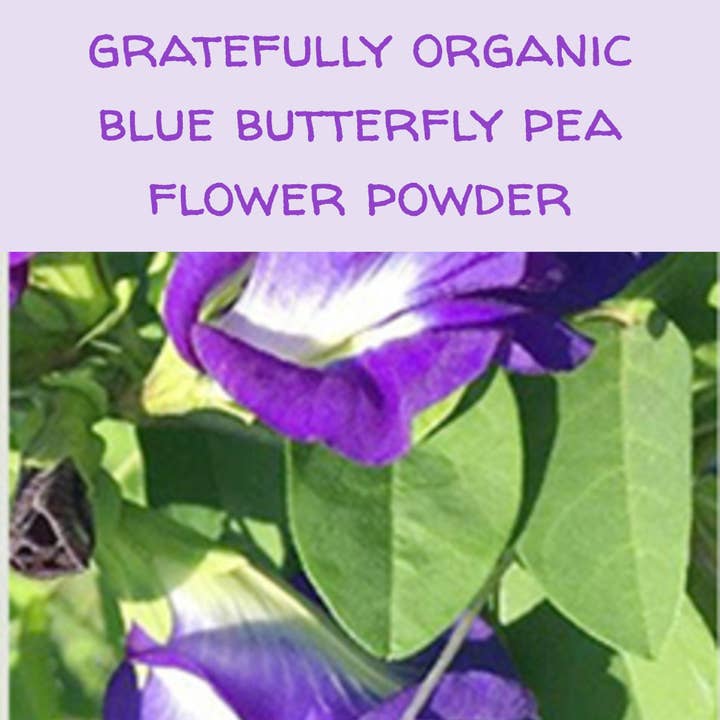 The Grateful Tea Co - Vente Thé en vrac - Poudre de fleur de pois Blue Butterfly biologique, 2 oz.