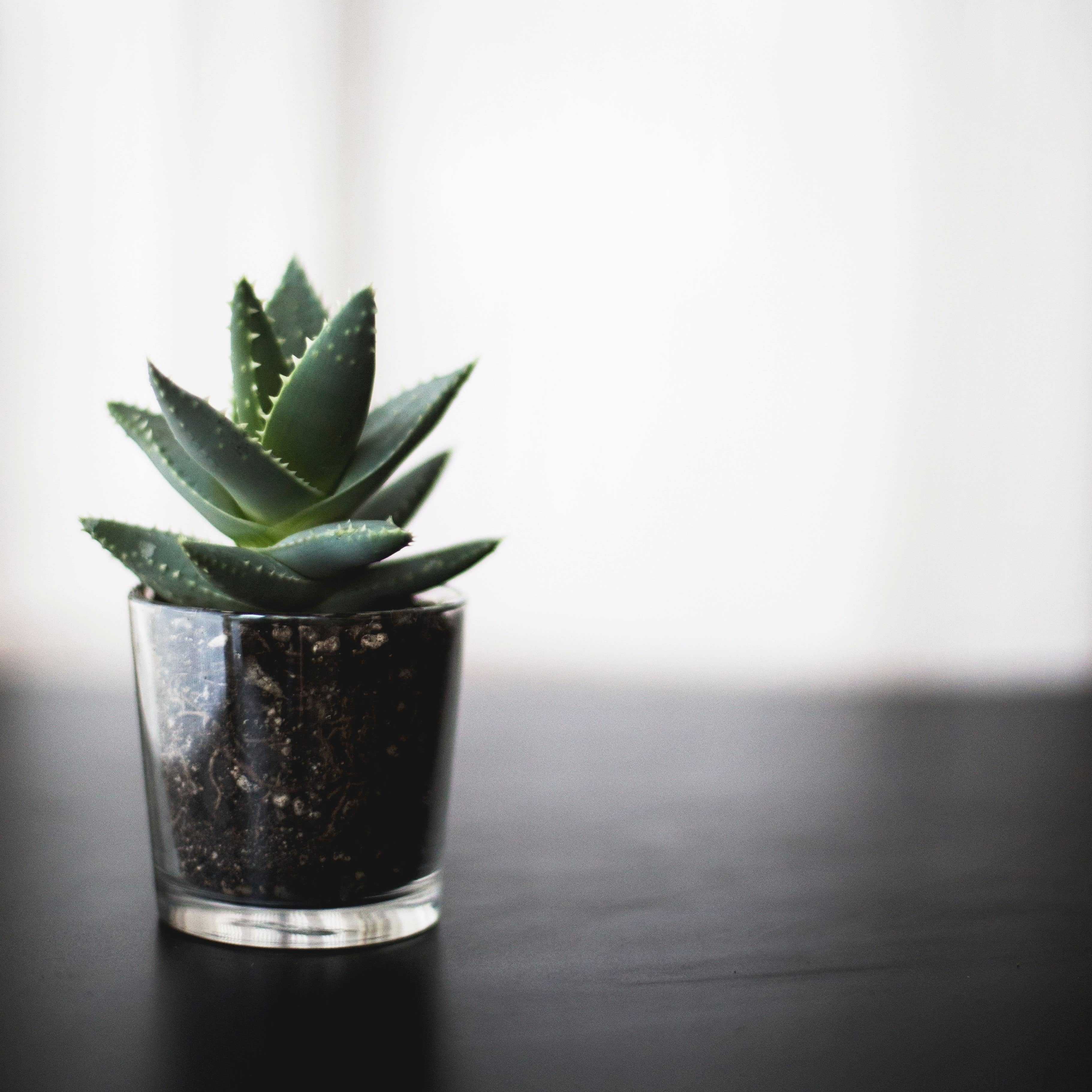 WGV International - Wholesale Candle Holder - WGV Cylinder Glass Votive Candle Holder [Machined] - 2.4"H2