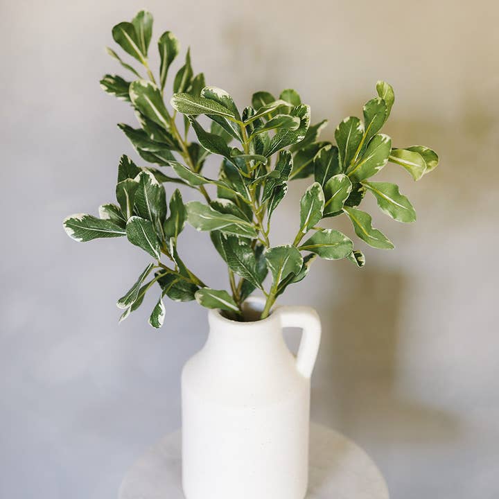Prestige Botanicals - Wholesale Artificial Plant - Artificial Pittosporum Leaves 30"