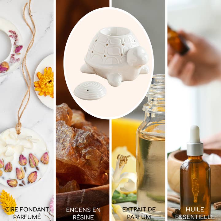 Zen'ArĂ´me - Wholesale Oil Warmer - Franklin the Turtle White Ceramic Incense Burner2