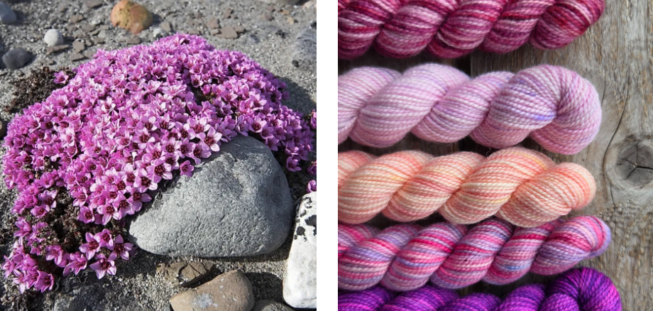 Koigu Wool Designs - Vente Fils à tricoter - Boîtes de Peinture de Fleurs Provinciales (ensembles de mini-écheveaux)24