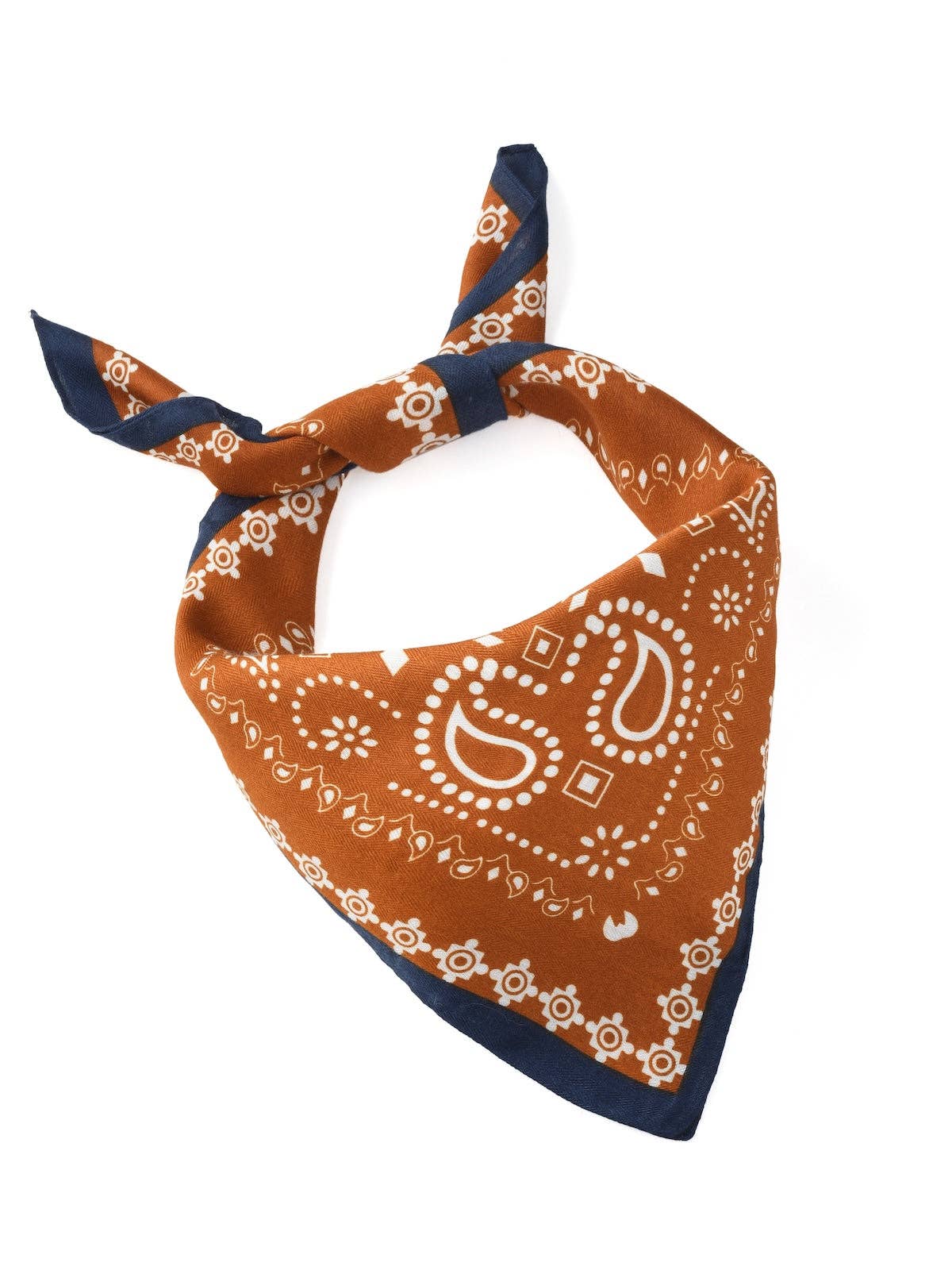 Funkyrel® Atzbranding Limited - Wholesale Scarf - Women's - Scarvii - Fashionable Paisley Square Scarf1