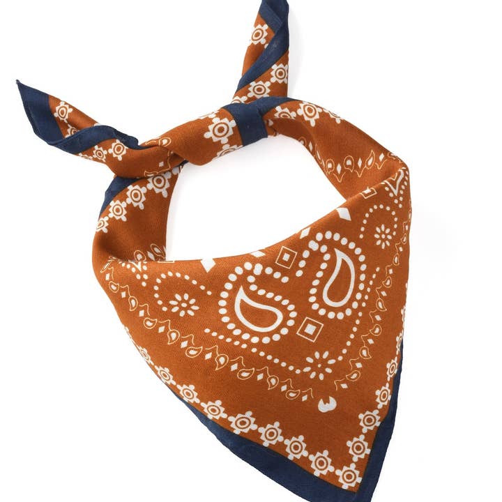 Funkyrel® Atzbranding Limited - Wholesale Scarf - Women's - Scarvii - Fashionable Paisley Square Scarf1