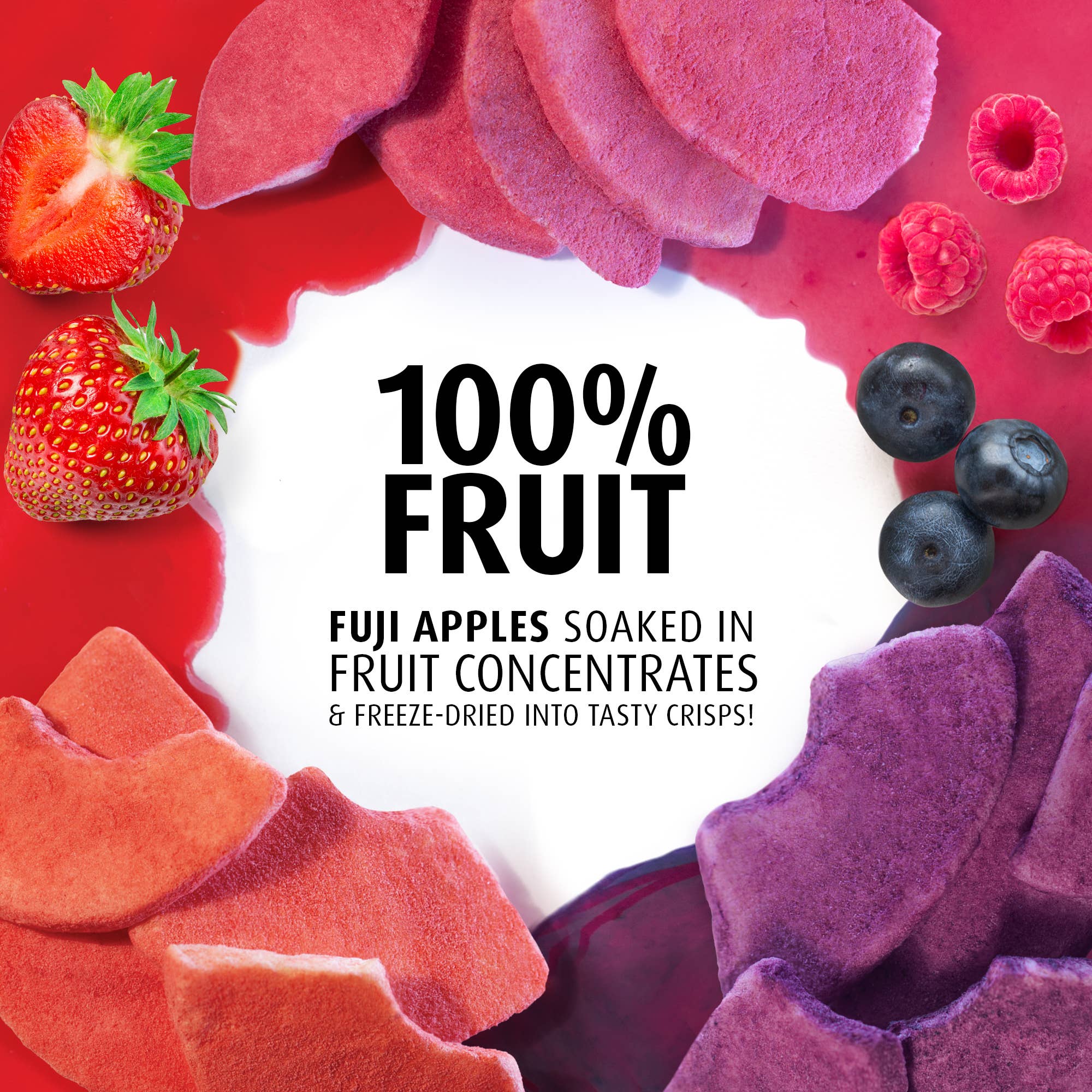 Brothers All Natural - Wholesale Dried/Dehydrated Fruit - Freeze-Dried Variety Apple Infused Fruit Crisps 6-Pack2