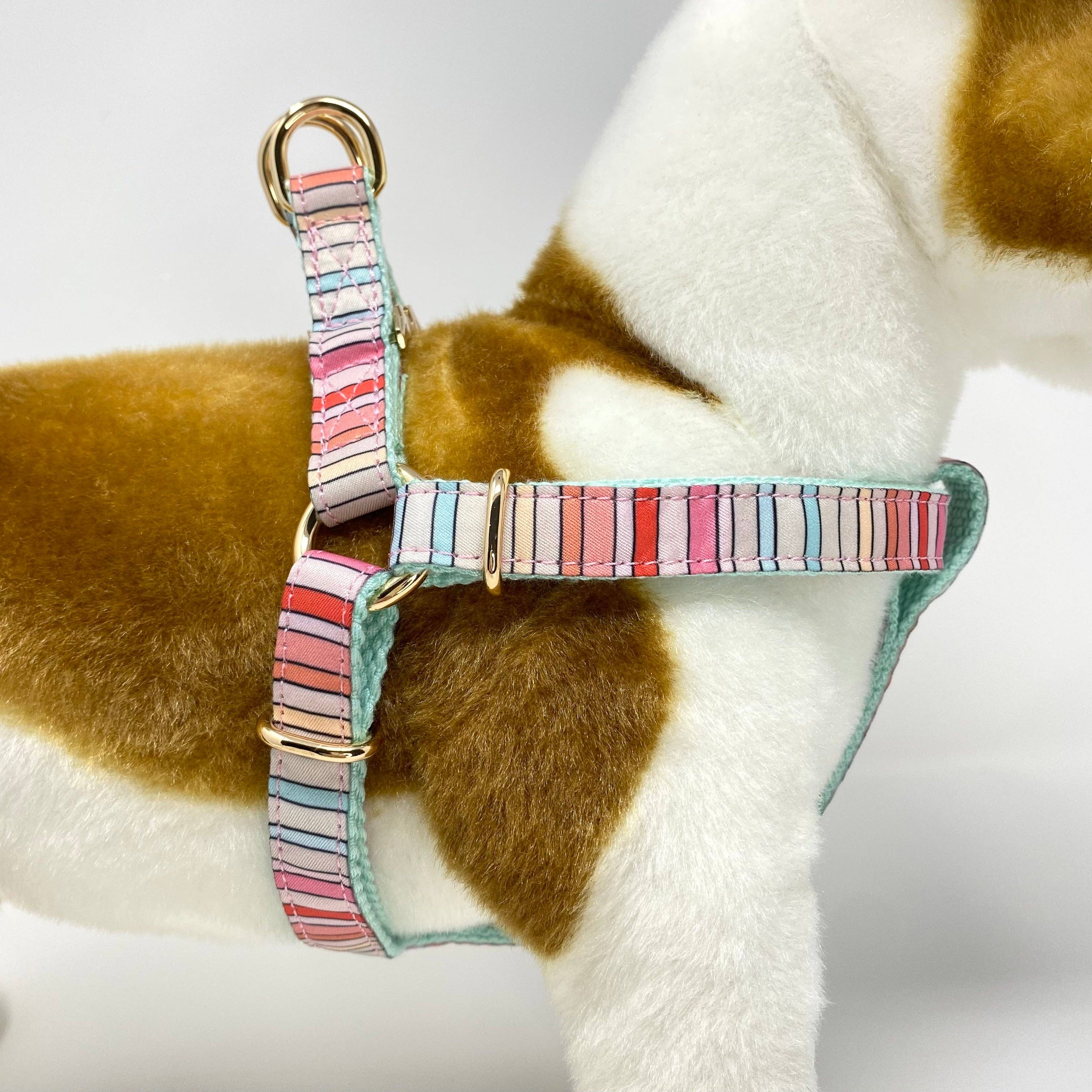 Roxy & Co. Canine Accessories - Wholesale Pet Harness - Dog - BRANDI STRIPE DOG HARNESS2