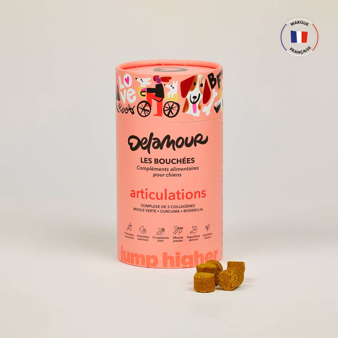 Delamour – wholesale Kosttillskott för husdjur - Hund – Bitar - Leder (90 bitar)0