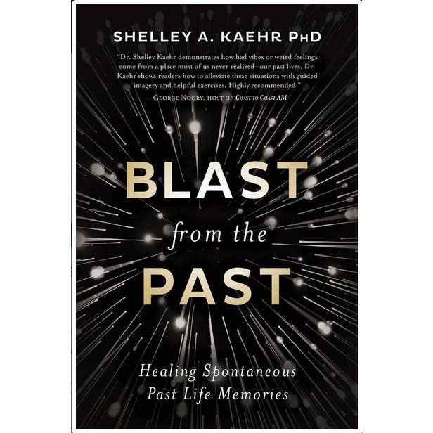 Ritorno al Passato: Guarire i Ricordi Spontanei di Vite Passate per la vendita all'ingrosso da parte di Microcosm Publishing & Distribution