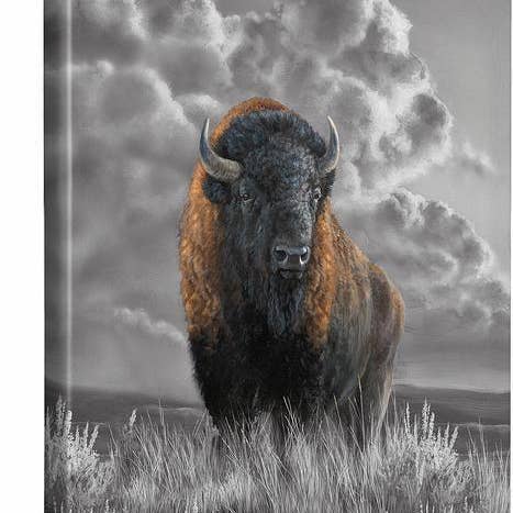 Tonnerre lointain—Bison - Toile montée sur châssis pour la vente par Art Brand Studios