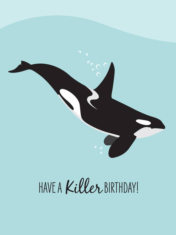 Birthday Card - Killer Whale Orca for wholesale by Sailfish Creative