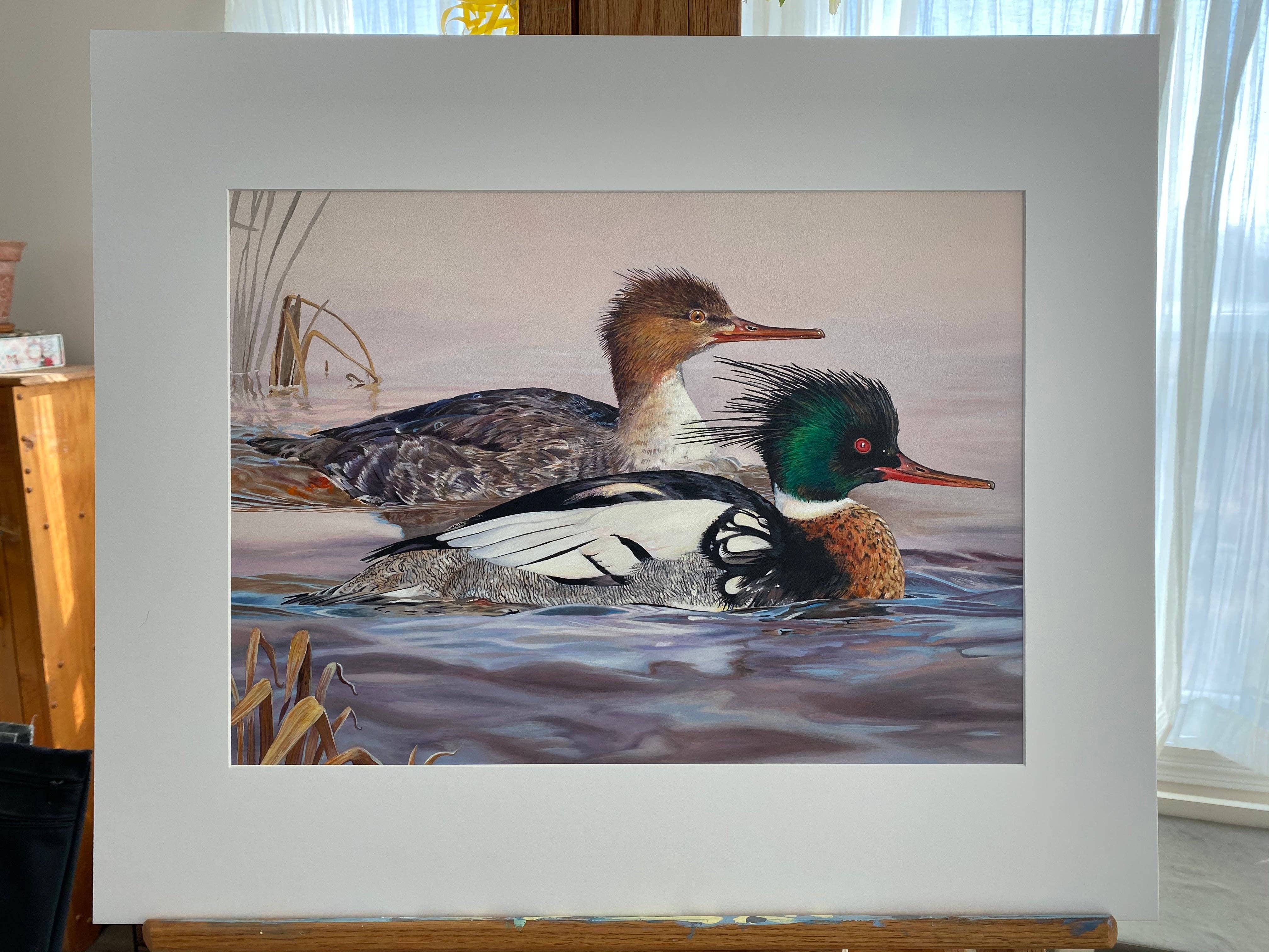 Rebekah Lowell Creative Studio - Wholesale Art Print - 2020 Maine Duck Stamp Print (Red-breasted Mergansers)6