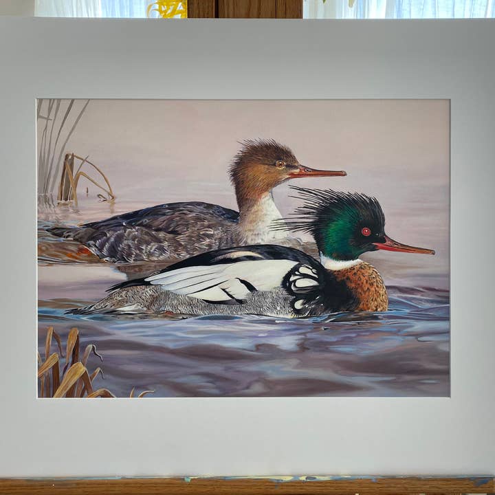Rebekah Lowell Creative Studio - Wholesale Art Print - 2020 Maine Duck Stamp Print (Red-breasted Mergansers)6