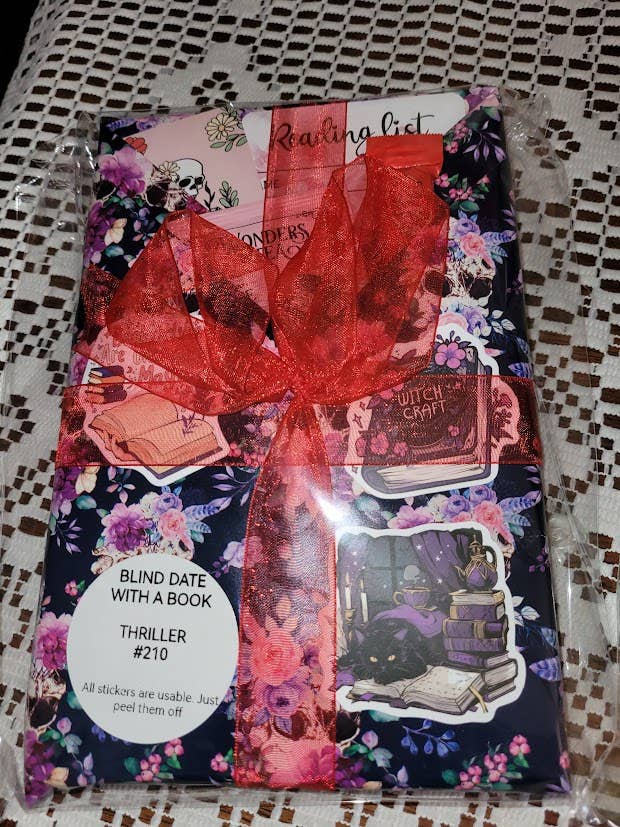 Blind Date with a Book (Previously Loved) Fiction for wholesale by Bearly Hyde N Cabin Used Books & Gifts