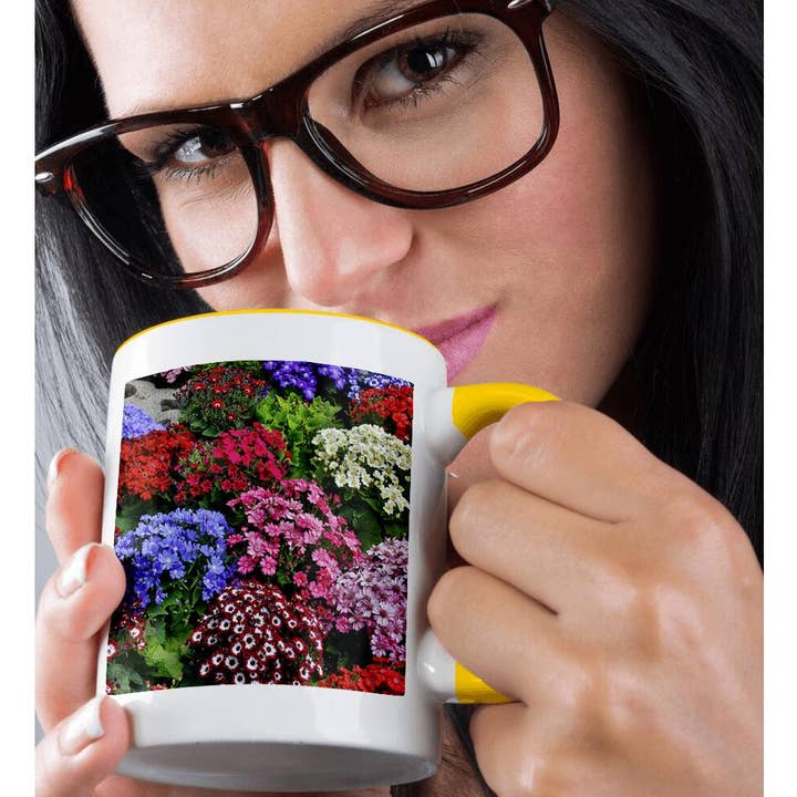 3dRose - Wholesale Coffee Mug - 3dRose, Springtime gardens, Victoria, BC, Canada. Cinerarias in bloom, Mug1