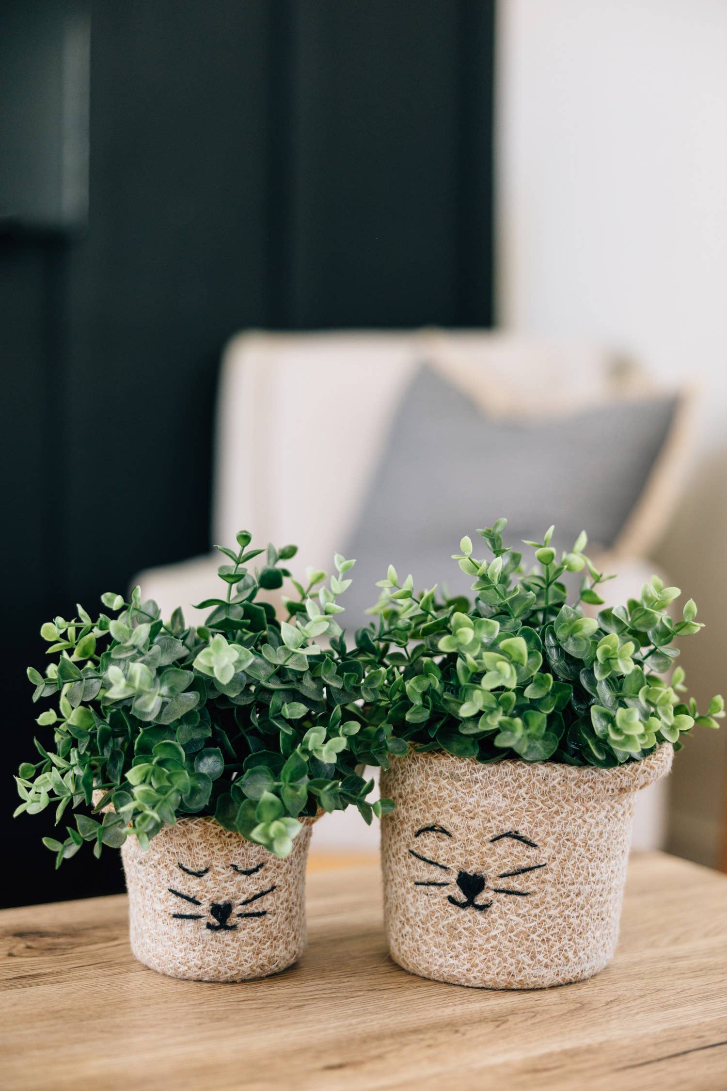 Ten Thousand Villages - Wholesale Basket - Cat Face Jute Basket - Small5