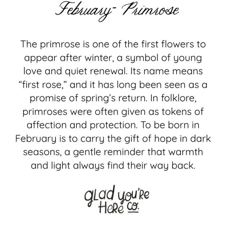 glad you're here co - Wholesale Birthday Card - March Birth Month Flower Greeting Card- Daffodil Flower Birthday Card – Vintage Botanical Art for Spring, Joy & New Beginnings5