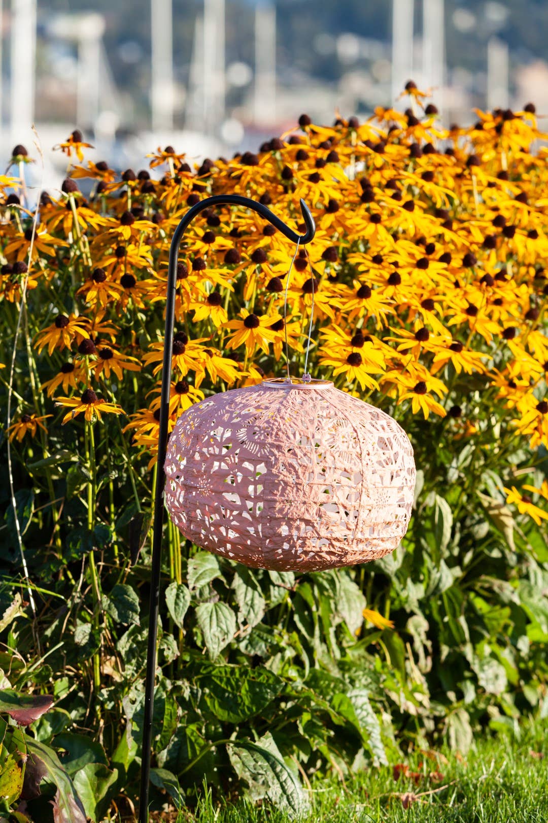 Allsop Home & Garden - Wholesale Outdoor/Lawn Light - Stella Square Sunflower 11" Solar Lantern - Clay12