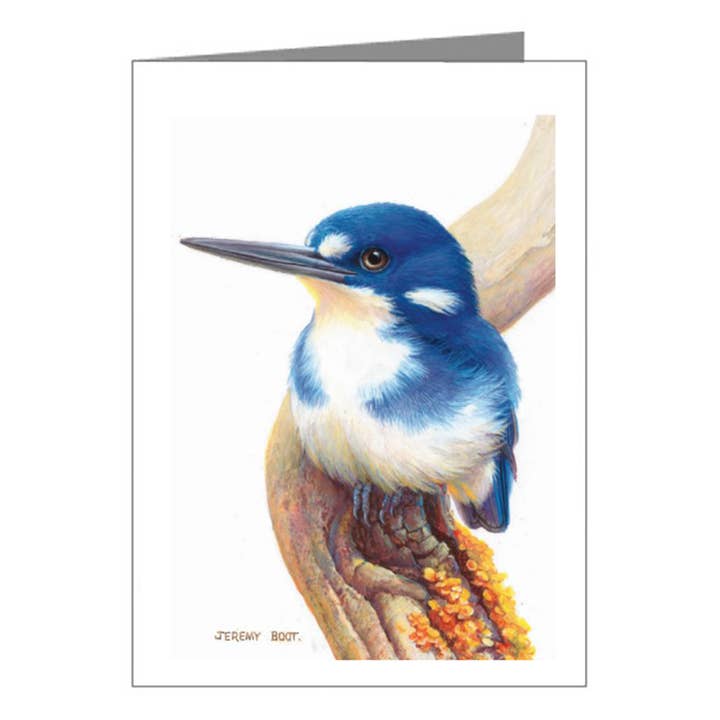 Etiqueta de regalo - Little Kingfisher para venta al por mayor de Jeremy Boot Collections