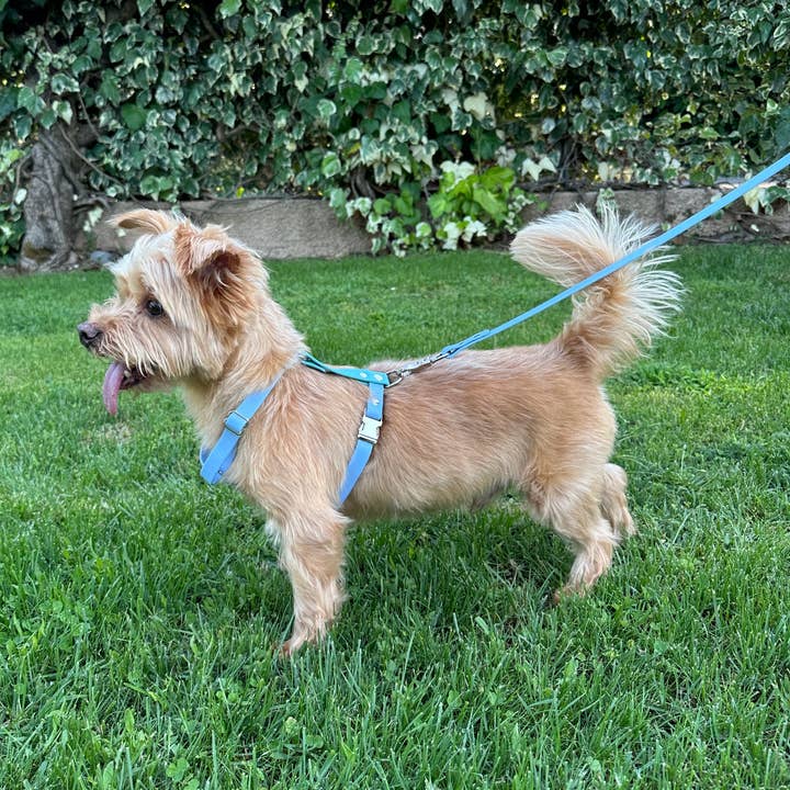 L&Z Dogwear - Wholesale Pet Harness - Dog - Hypoallergenic waterproof POLAR harness - Biothane®3