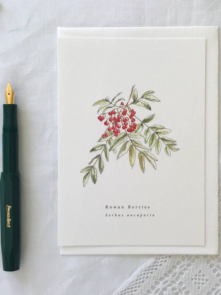 Rowan Botanical Illustration Card for wholesale by Annie Brougham Paper Goods.