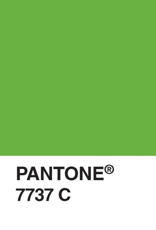 Chronicle Books - Wholesale Postcard Set - Pantone Postcard Box3