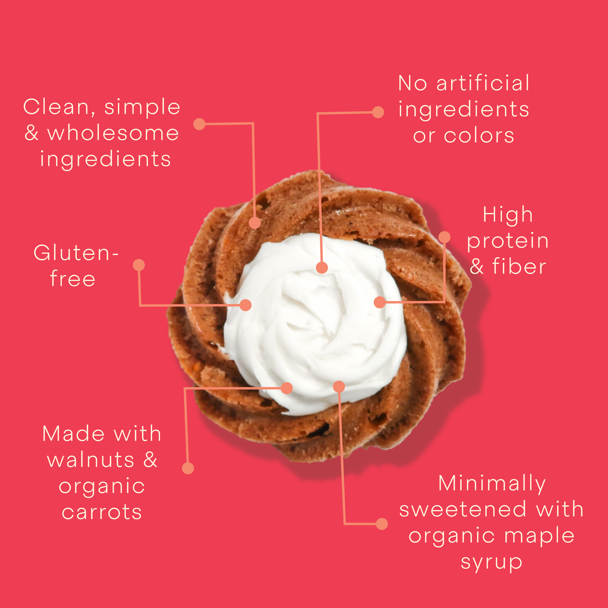 Honeycut Kitchen - Wholesale Cake - CARROT CAKE3