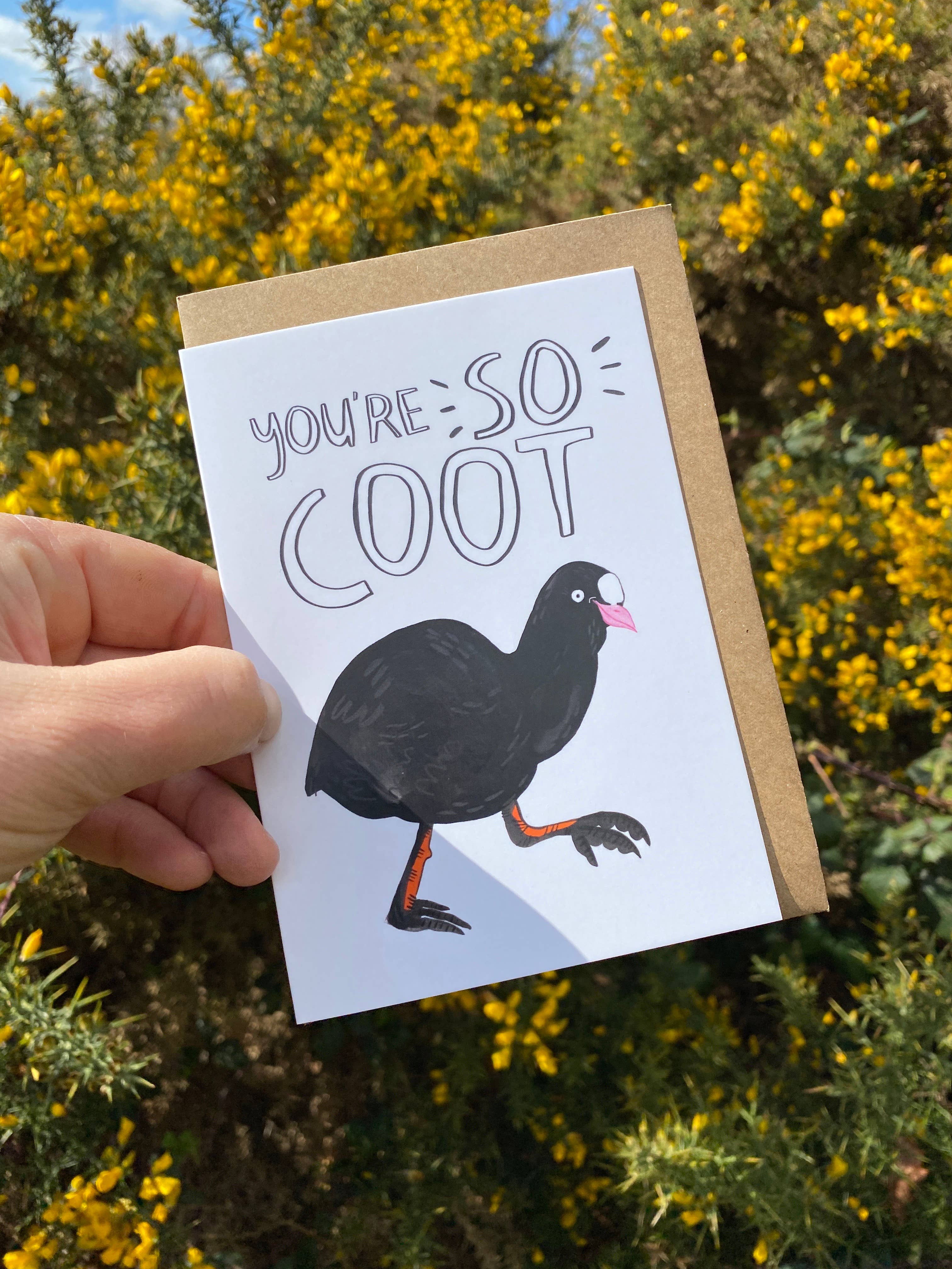 Fernandes Makes – wholesale Everyday greeting card – You're so COOT! Bird Pun illustrated A6 Greeting Card1
