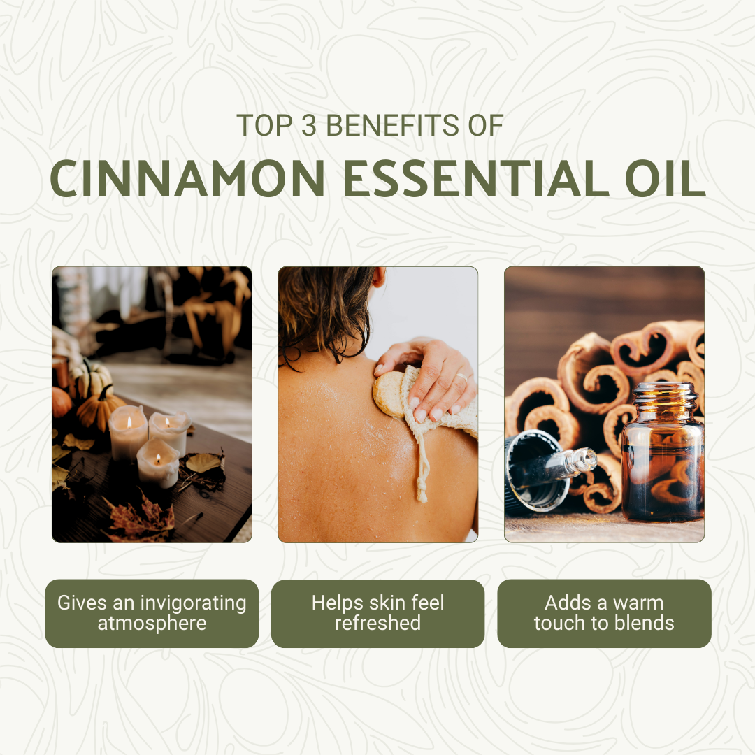 Nature Packaged – wholesale Eterisk olja – Kanel eterisk olja - 100% ren - Gård-Direct Sourcing6