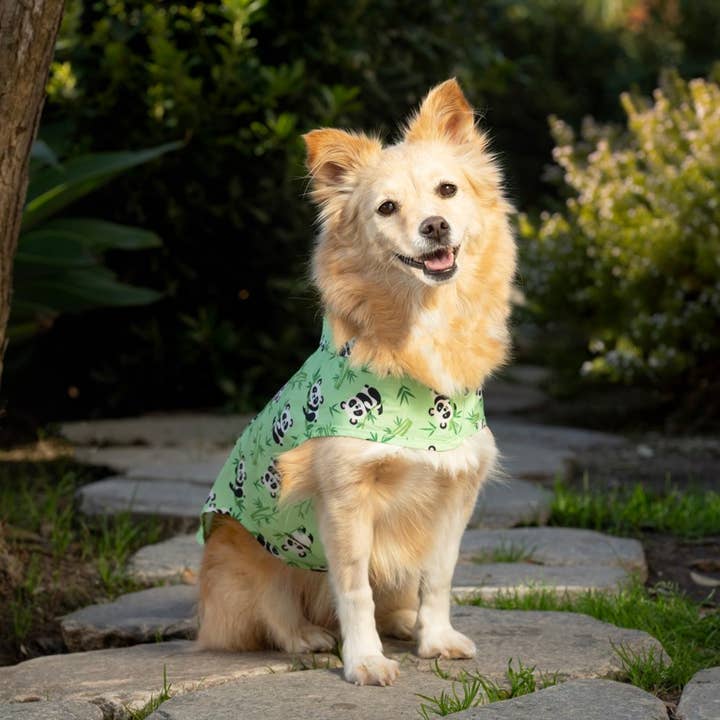 Canada Pooch - Wholesale Pet Poncho - Dog - Pick Me Poncho (New Prints)- Dog raincoat9