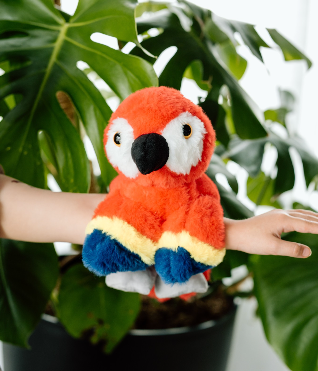 The Petting Zoo - Wholesale Classic Toy - Kids - Slapstix Scarlet Macaw 9" (23cm)1