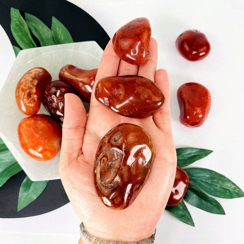 Rock Paradise - Wholesale Spiritual Stone/Crystal - Carnelian Crystal Tumbled Stones - XLarge Size - Choose 1,30