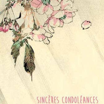 CATCH 12X17 CARTES DOUBLES NC 33705 F pour la vente par Phenicia