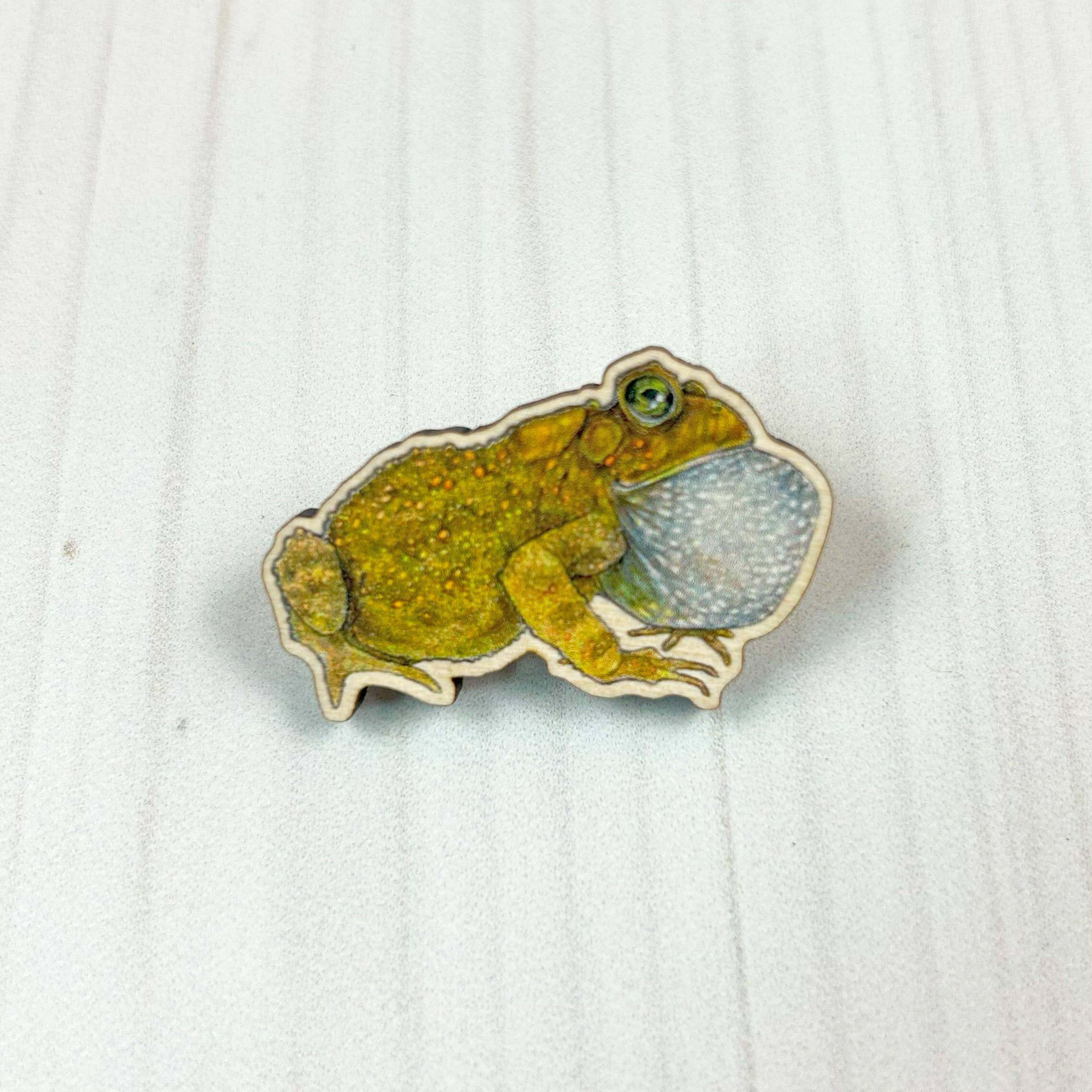 Sarah Draws Things - Wholesale Lapel Pin/Button - American Toad - 1.5" illustrated wooden pin 1