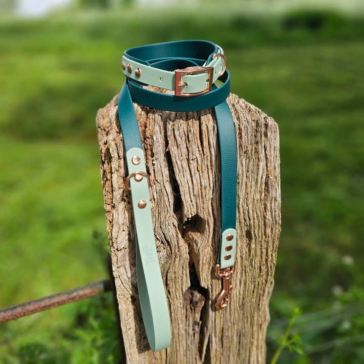 DARK GREEN & SAGE - Waterproof Dog Collar / Dog Lead for wholesale by Trinkety Paws